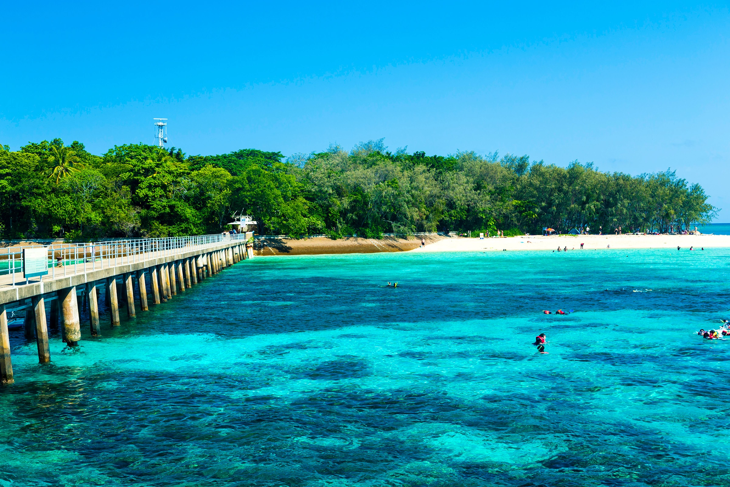 Ribbon_Reef,_Great_Barrier_Reef[1].webp